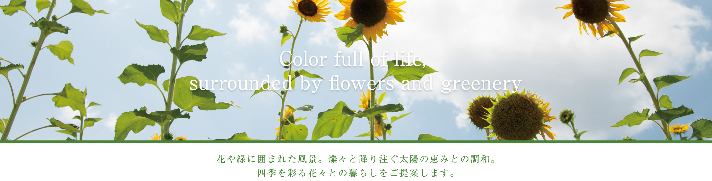 花や緑に囲まれた風景。燦々と降り注ぐ太陽の恵みとの調和。四季を彩る花々との暮らしをご提案します。